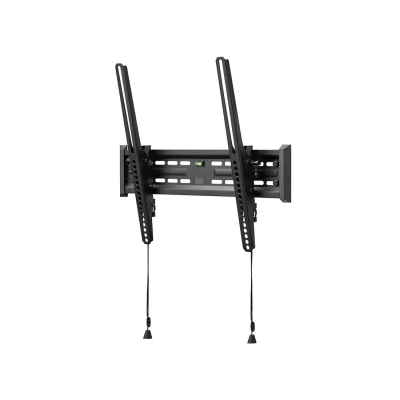 MW Products Tilt Wall Mount  24